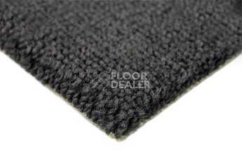 Balsan Les Best 993 фото 4 | FLOORDEALER