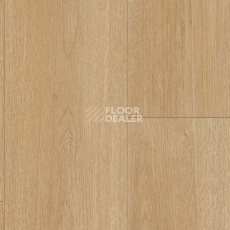 Parador Basic Plus 600 XS 1744351 Дуб Престиж Природа фото 2 | FLOORDEALER