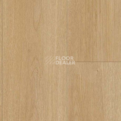 Parador Basic Plus 600 XS 1744351 Дуб Престиж Природа фото 2 | FLOORDEALER