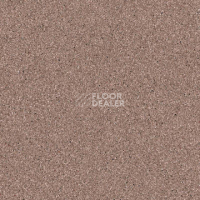 Линолеум Tarkett iq Monolit Monolit_912 фото 1 | FLOORDEALER