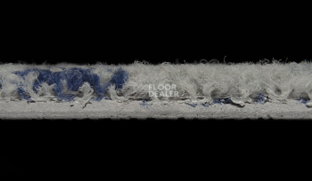 InnovFlor ColorKey ColorKey b 08 фото 3 | FLOORDEALER