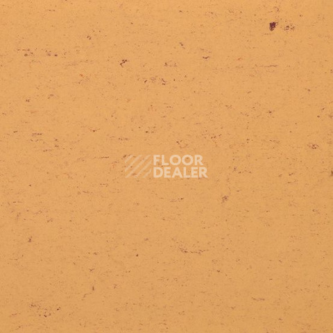 Линолеум Gerflor Colorette 0073 Sand Yellow фото 1 | FLOORDEALER