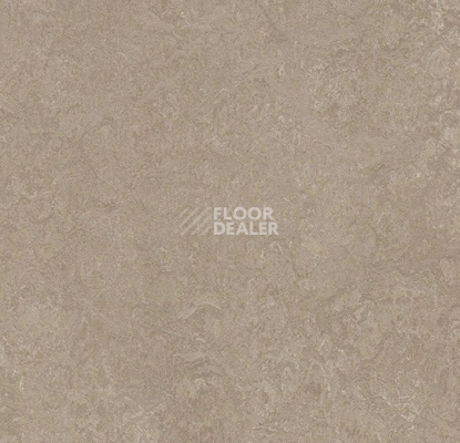 Линолеум Forbo Marmoleum Decibel 325235 sparrow фото 1 | FLOORDEALER