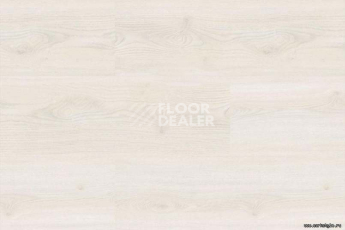 Wood замковое OAK POLAR WHITE фото 4 | FLOORDEALER