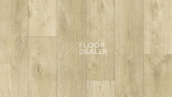 Линолеум Tarkett Philosophy EVENT 5 фото 1 | FLOORDEALER