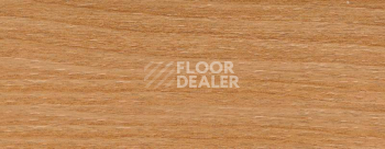 Плинтус Dollken EP 60/13 2639 фото 2 | FLOORDEALER