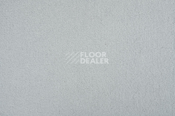 Balsan Les Best 930 фото 2 | FLOORDEALER