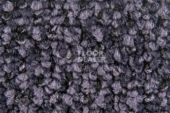 Balsan Take a Walk 880 Take a Walk фото 4 | FLOORDEALER