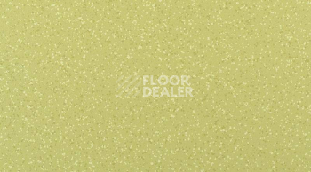 Кварцвиниловые полы Gerflor Attraction Connect 635 x 635 BRAZILIA_8577_Amazonas фото 1 | FLOORDEALER