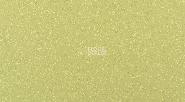 Кварцвиниловые полы Gerflor Attraction Connect 635 x 635 BRAZILIA_8577_Amazonas фото 1 | FLOORDEALER