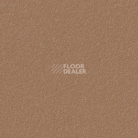 Линолеум Forbo Marmoleum Bulletin Board 2166 nutmeg spice фото 1 | FLOORDEALER