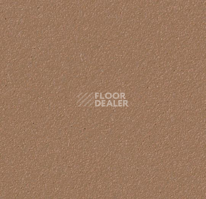 Линолеум Forbo Marmoleum Bulletin Board 2166 nutmeg spice фото 1 | FLOORDEALER