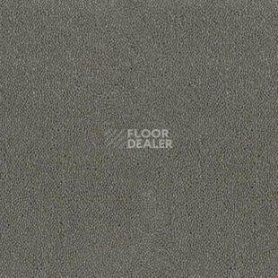 Ковролин Desso Asteranne 9504 фото 1 | FLOORDEALER