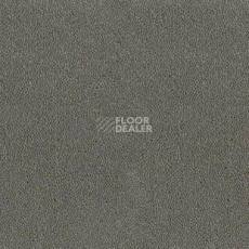 Ковролин Desso Asteranne 9504 фото 1 | FLOORDEALER