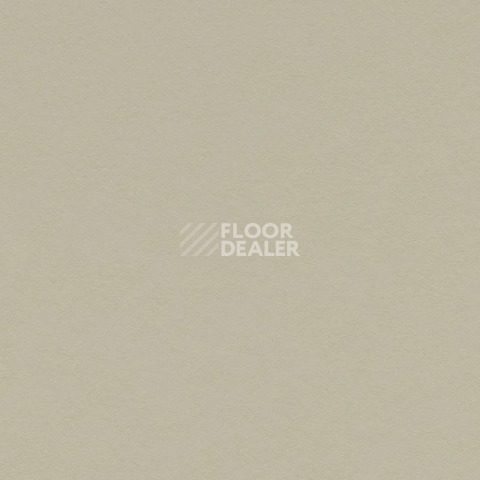 Линолеум Forbo Marmoleum Solid Walton 3378 stucco фото 1 | FLOORDEALER