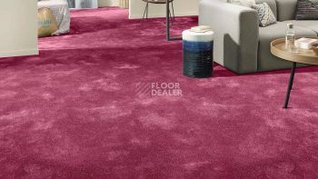 Vorwerk Superior 1064/Lyrica Vorwerk 1n40 фото 2 | FLOORDEALER