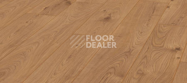 Ламинат Kronotex Exquisit 8мм d3224 Дуб Атлас Натуральный фото 1 | FLOORDEALER