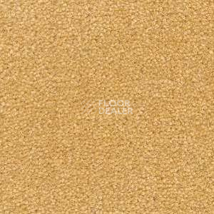 Ковролин Radici Montecarlo 14 фото 1 | FLOORDEALER
