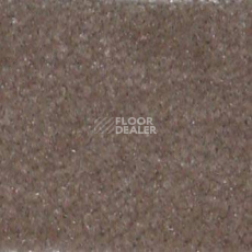 Ковролин Shaw all That Jazz 21157 фото 1 | FLOORDEALER