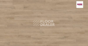 Ламинат Haro Tritty 100 Campus 4V ДУБ ВЕНЕТО КРЕМОВЫЙ 541543 фото 1 | FLOORDEALER