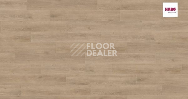 Ламинат Haro Tritty 100 Campus 4V ДУБ ВЕНЕТО КРЕМОВЫЙ 541543 фото 1 | FLOORDEALER