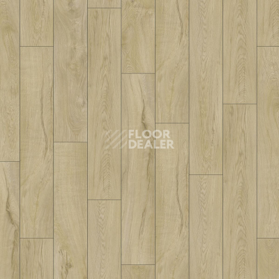 Ламинат Kronotex Mammut Plus d4668 Дуб Магнум Песчаный фото 4 | FLOORDEALER