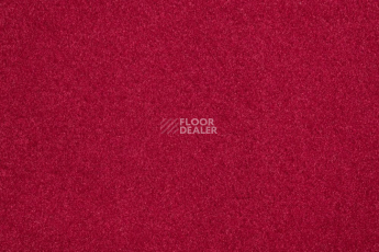 Ковролин Vorwerk Passion 1000/Modena Vorwerk 1d37 фото 1 | FLOORDEALER