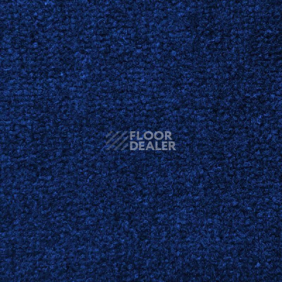 Ковролин Дюна Тафт Venetto 851 фото 1 | FLOORDEALER
