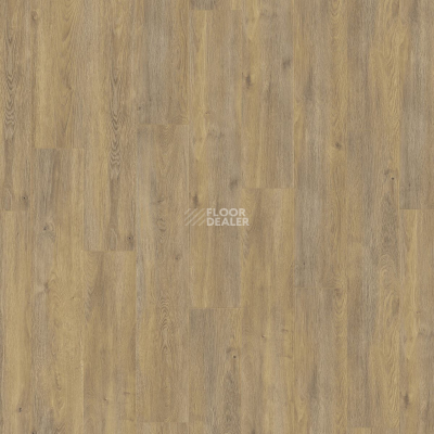 Ламинат Kronotex Exquisit Plus d6009 Дуб Эльба Природный фото 3 | FLOORDEALER