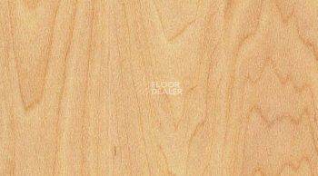 Линолеум Gerflor Taraflex evolution Wood 6381_Maple_design фото 1 | FLOORDEALER