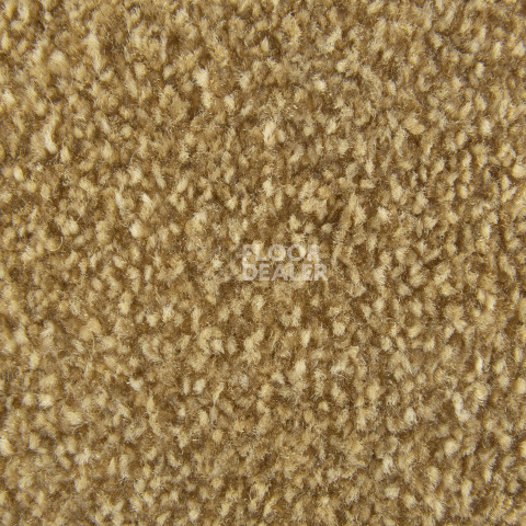AW Masquerade Moretta 54 фото 2 | FLOORDEALER