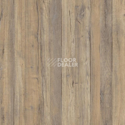 Линолеум Tarkett Grand Togo 2 фото 1 | FLOORDEALER