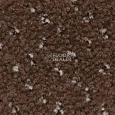 Ковролин Infloor Como 760 фото 1 | FLOORDEALER