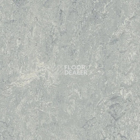 Линолеум Forbo Marmoleum Marbled Real 2621/262135 Dove Grey фото 1 | FLOORDEALER