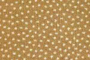 Ковролин Associated Weavers Perfecto 34 фото  | FLOORDEALER
