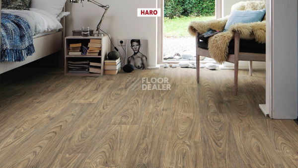 Ламинат Haro Tritty 100 4V Вяз Варио 544720 фото 3 | FLOORDEALER