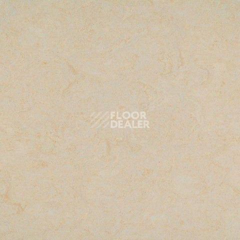 Линолеум Gerflor Marmorette DLW 2.5mm 121-045 фото 1 | FLOORDEALER