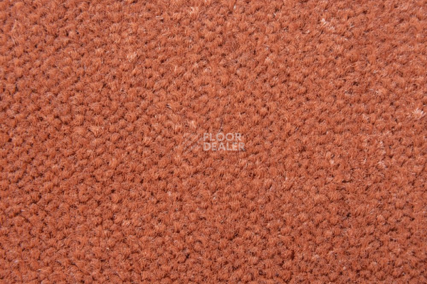 Ковролин AW Prima AW Prima 84 фото 1 | FLOORDEALER