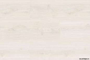 Wood OAK POLAR WHITE фото 4 | FLOORDEALER