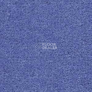 Ковролин Radici Montecarlo 30 фото 1 | FLOORDEALER