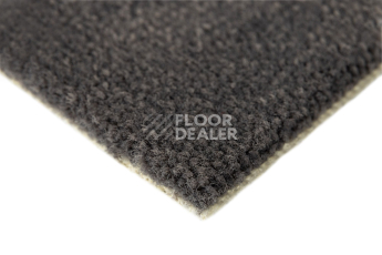 Balsan Les Best 992 фото 4 | FLOORDEALER