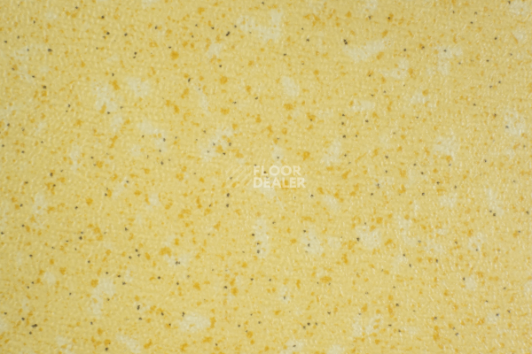 Линолеум Tarkett Acczent Pro Aspect 6 фото 1 | FLOORDEALER