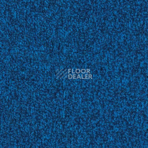 Грязезащитные покрытия Forbo Coral Marine FR 4222 Sydney Blue фото 1 | FLOORDEALER
