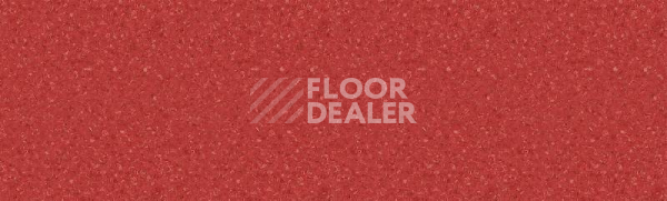 Линолеум Tarkett Tempo Plus 1010 фото 1 | FLOORDEALER