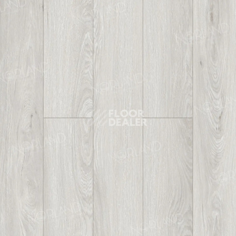 Ламинат Norland Elegant Strong 12мм Дуб Ман LF302-15 фото 1 | FLOORDEALER