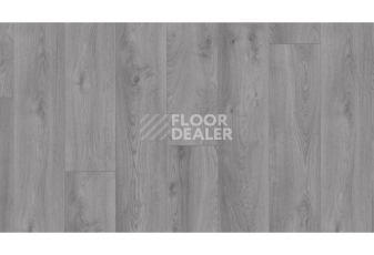 Kronotex Mammut Plus d3670 Дуб Макро Светло-серый фото 2 | FLOORDEALER