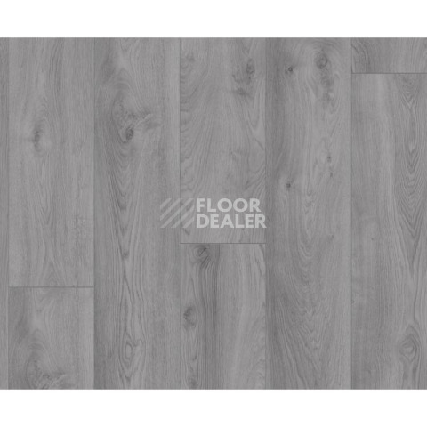 Kronotex Mammut Plus d3670 Дуб Макро Светло-серый фото 2 | FLOORDEALER