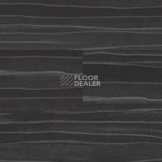 Линолеум Polyflor Expona Wood 6171 фото 1 | FLOORDEALER