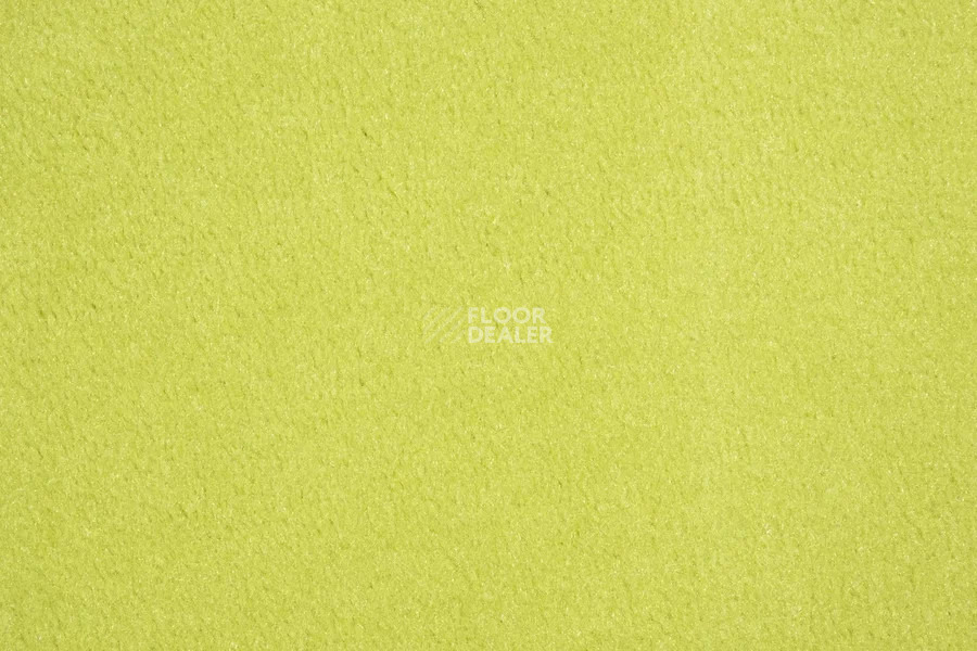 Vorwerk Passion 1000/Modena Vorwerk 4d61 фото 2 | FLOORDEALER