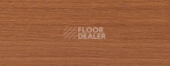 Плинтус Dollken EP 60/13 2569 фото 2 | FLOORDEALER